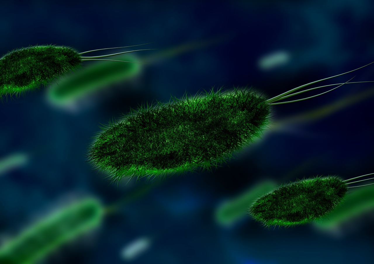 Baktérie (Zdroj: https://pixabay.com/en/bacteria-bacterial-species-imitation-106583/)
